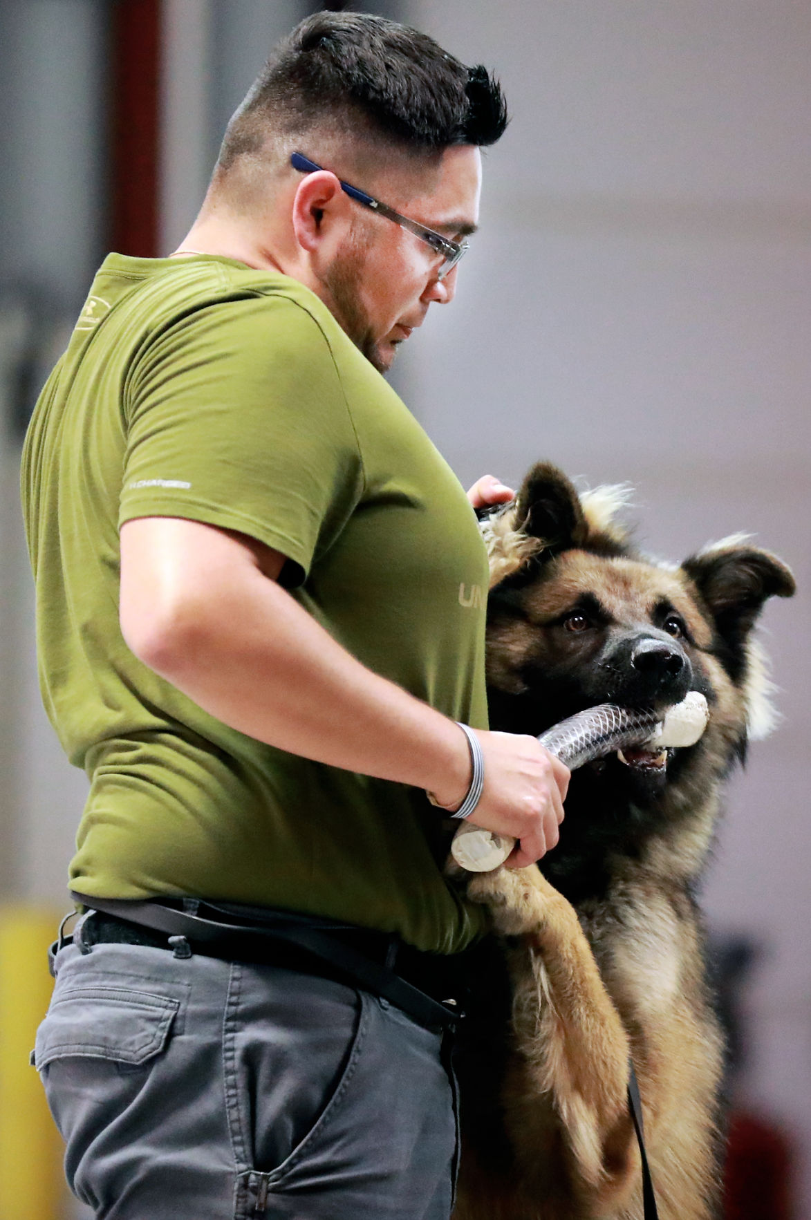 090619_StevensPDDogs003_bjs.JPG